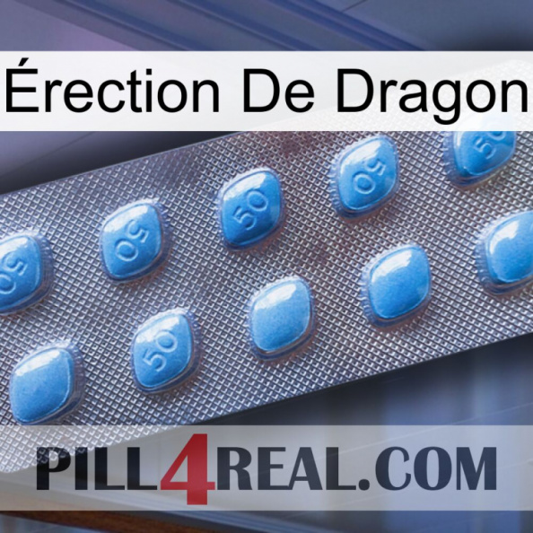 Érection De Dragon viagra3